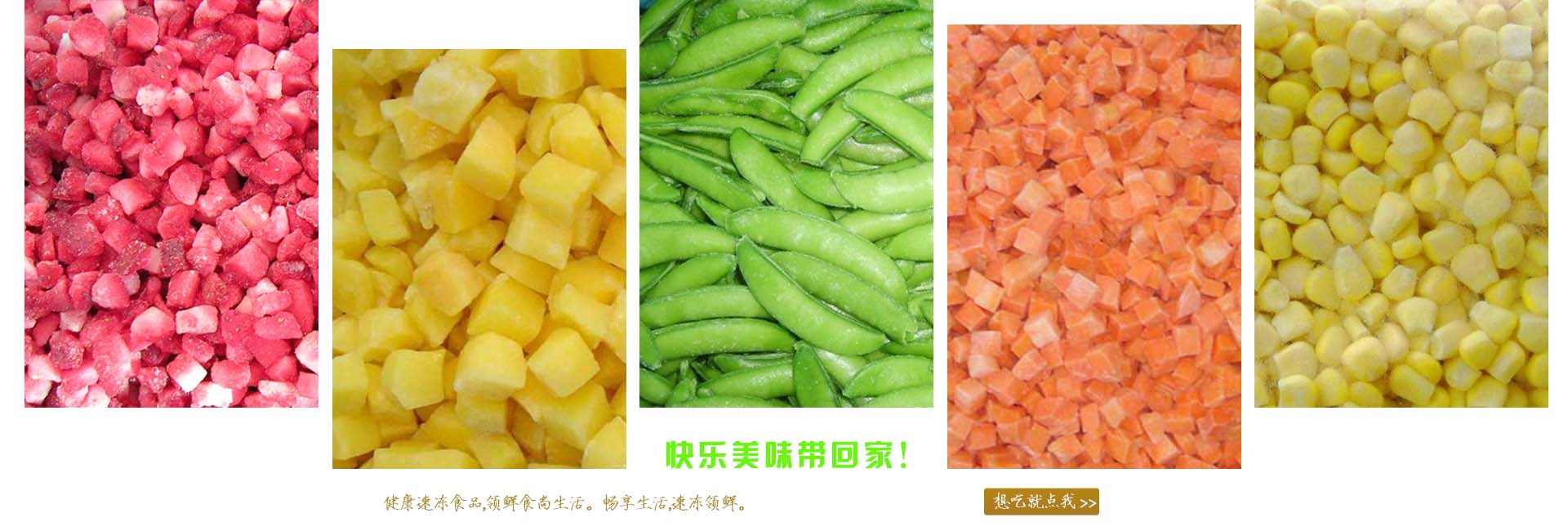 金鄉(xiāng)縣高創(chuàng)農(nóng)業(yè)科技有限公司